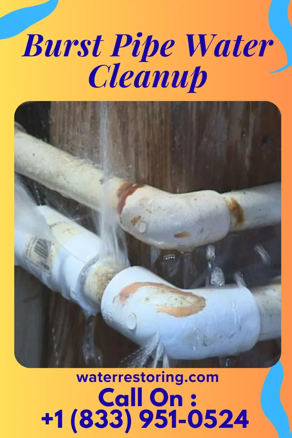 Burst Pipe Water Cleanup in Warren, MN