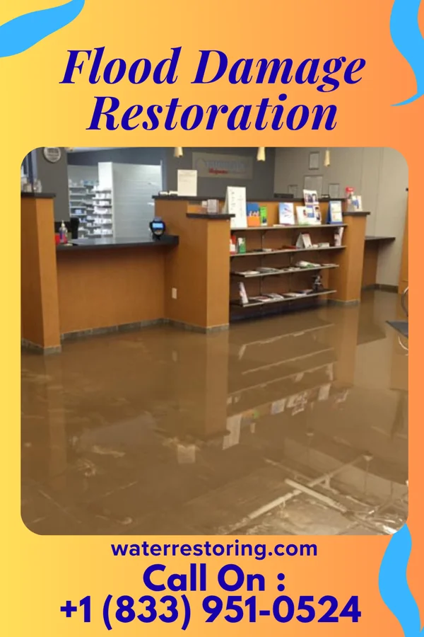 Flood Damage Restoration in Warren, MN