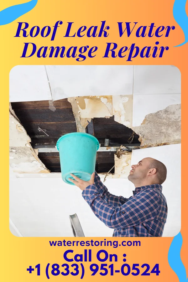 Roof Leak Water Damage Repair in Warren, MN
