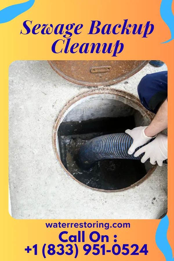 Sewage Backup Cleanup in Warren, MN