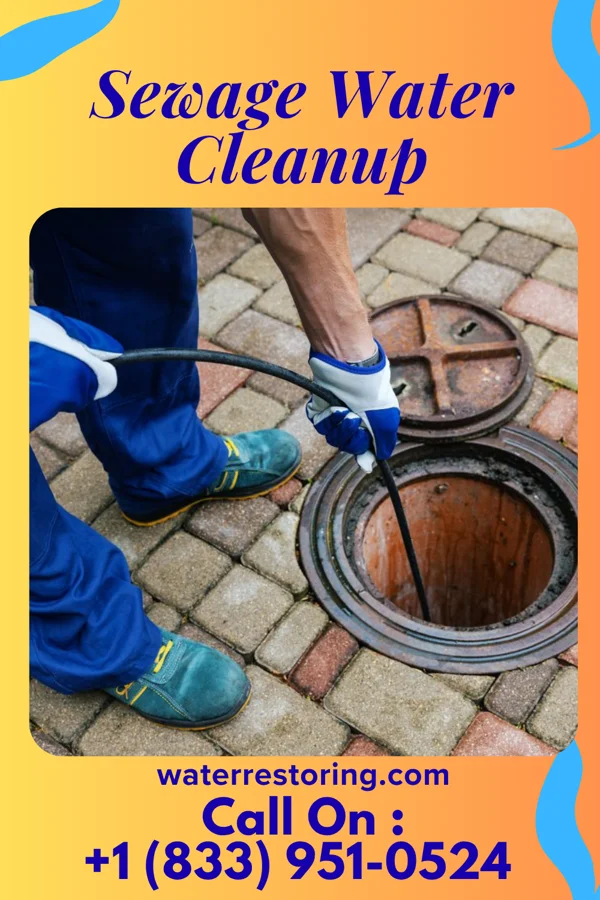 Sewage Water Cleanup in Warren, MN