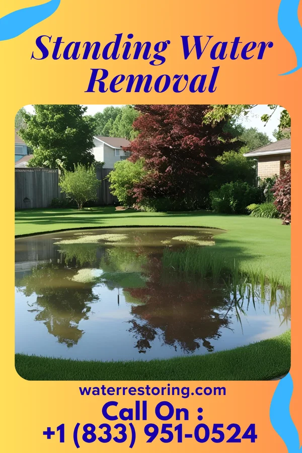 Standing Water Removal in Warren, MN